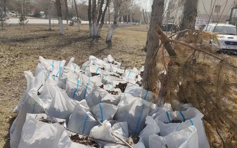 «Таза Қазақстан»: тысячи жителей Кокшетау вышли на субботник