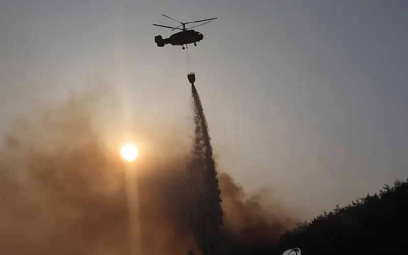 wildfires in S Korea