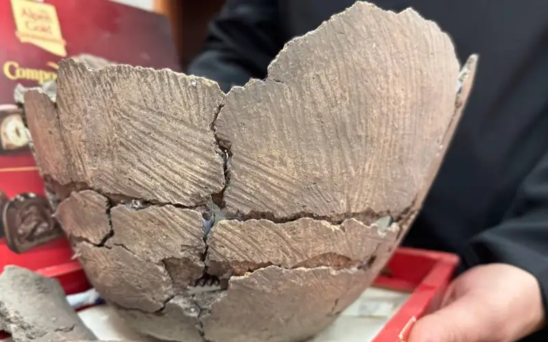 Что скрывает в себе поселение эпохи бронзы в Костанайской области?