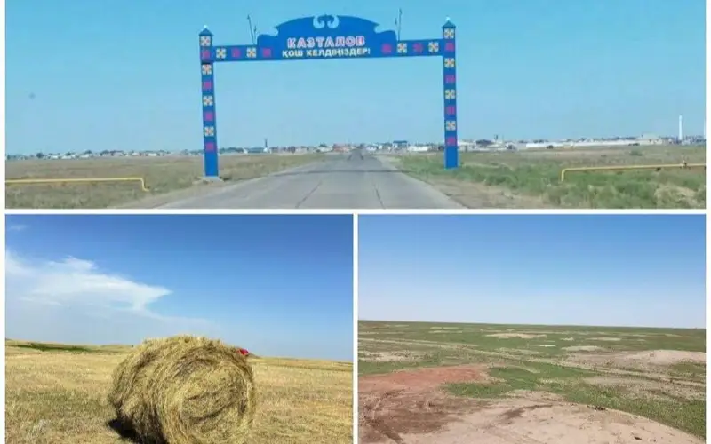 Около 5 тысяч гектаров пастбищ возвращены государству в ЗКО