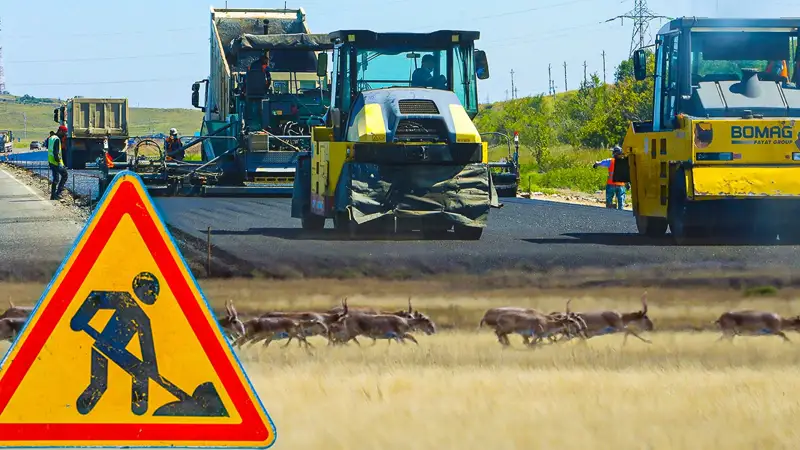 Астана - Транскаспий автожолын салу киік популяциясына қалай әсер етеді