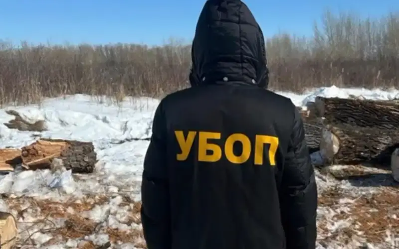 Ертіс жайылмасында ағашты заңсыз кескендер ұсталды