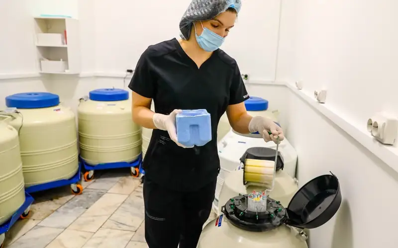 Как устроен рынок донорства спермы и яйцеклеток в Казахстане