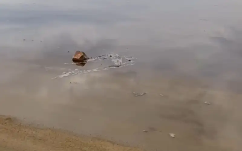 Переливы талых вод произошли на нескольких автодорогах в Акмолинской области