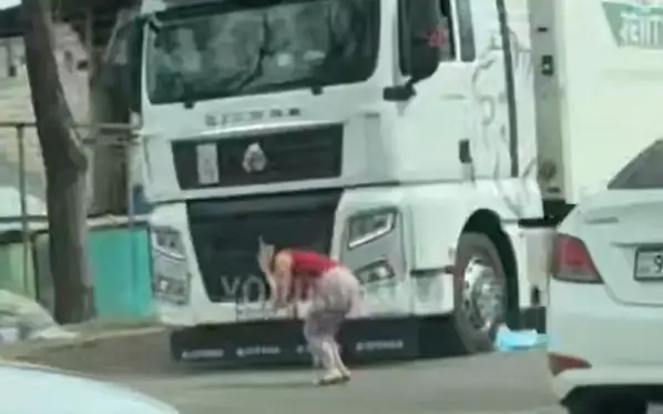 оқушыны жүк көлігі басып кетті