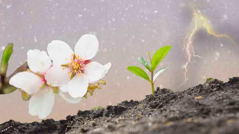 Народная метеорология: что означают Бесқонақ и Құралайдың салқыны