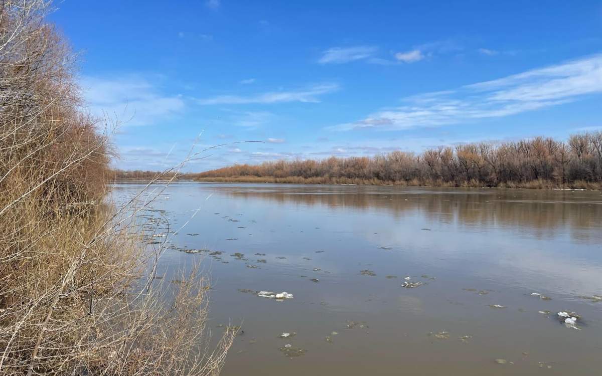 Жайық өзеніндегі су деңгейі Орынбор тұсында 470 сантиметрге жуықтады