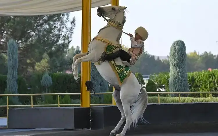 Конкурс «райских» скакунов стартует в Туркменистане