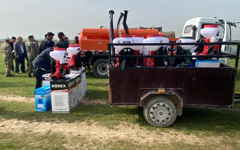 В Туркестанской и Жамбылской областях начались подготовительные работы по борьбе с саранчой