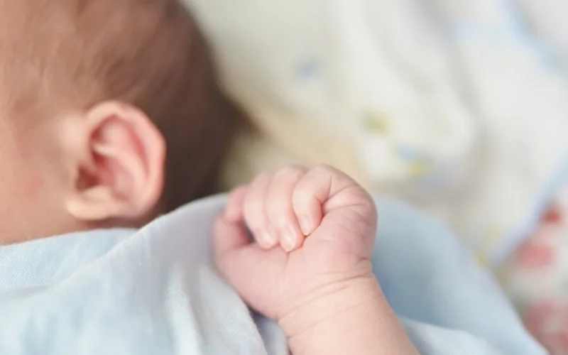 новорождённые