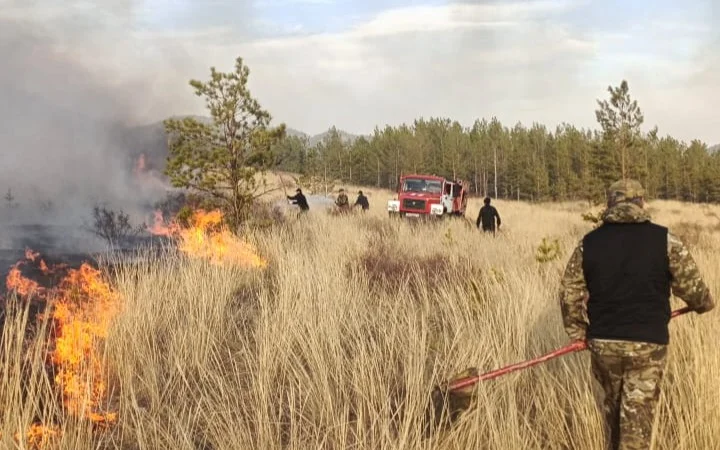 Кто ответит за пожары в области Абай и Павлодарской области