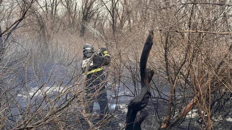120 га сухостоя сгорело вблизи Кокшетау