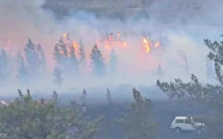 Степной пожар пытаются потушить в Баянальском районе