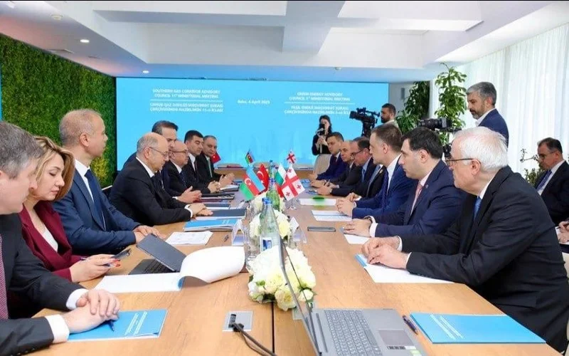 Баку, Тбилиси, Анкара и София договорились о создании коридора «зеленой» энергии