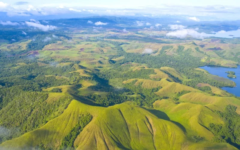 Папуа-Жаңа Гвинея жағалауына цунами қаупі төнді