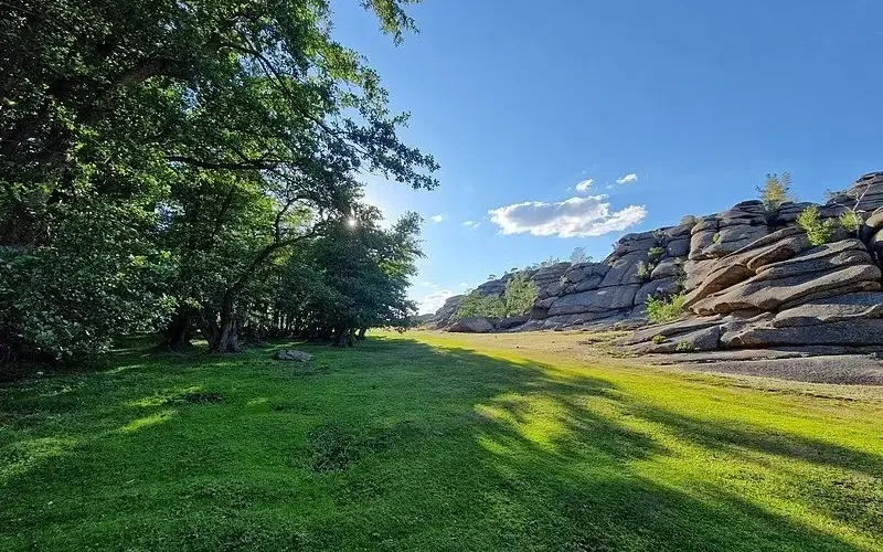 Өртеніп жатқан Баянауыл ұлттық паркі туралы не білеміз