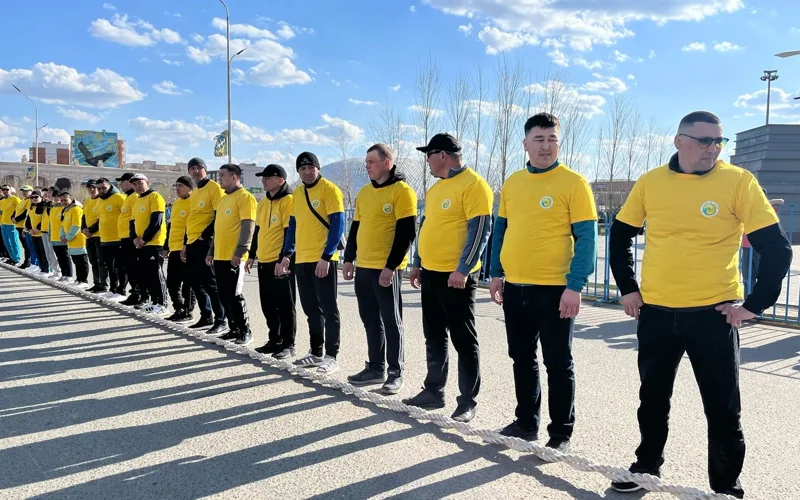 арқан тартыс