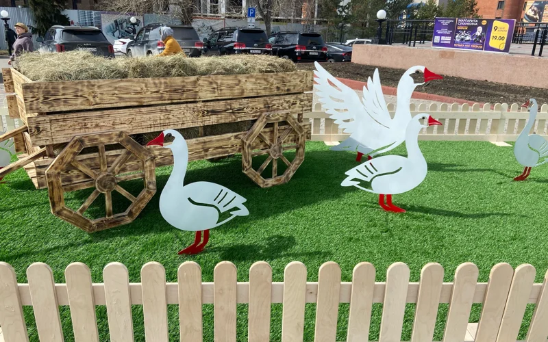 Петропавлда «Auyl Fest. Қаз шаруашылығы» I халықаралық түркі этномәдени фестивалі өтті