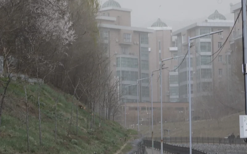 Пыльная буря накрыла Алматы: жители показали последствия