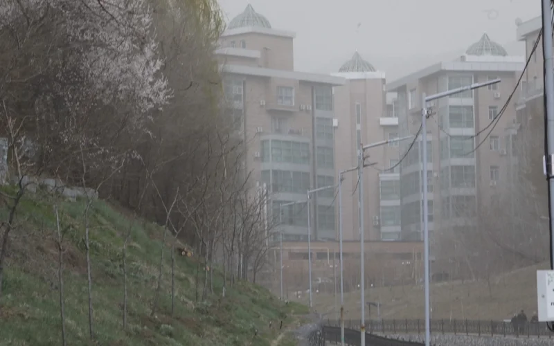 Алматыдағы шаңды дауыл