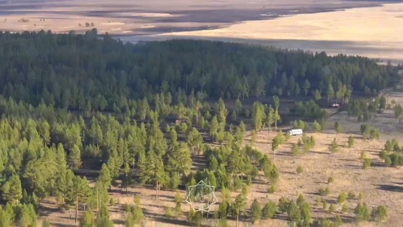 Природный пожар локализован в области Абай