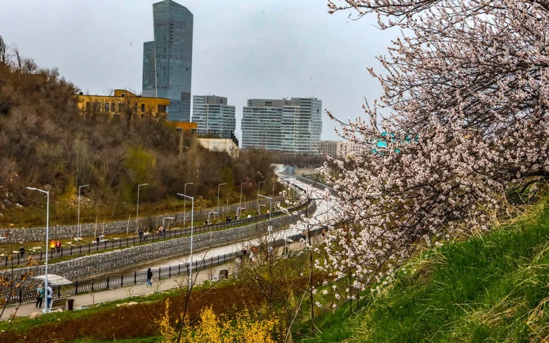 Алматинская весна: город расцвел и заиграл красками