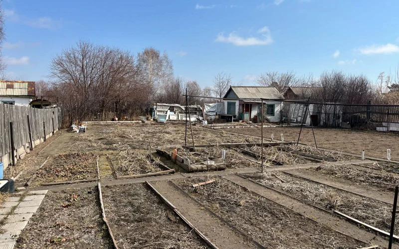 Свое с грядки: выгодно ли содержать дачу в Павлодарской области