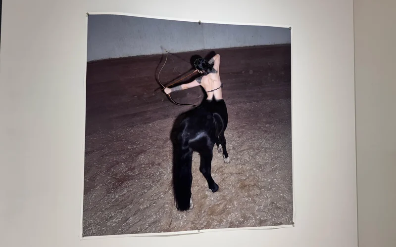 В Нью-Йорке открылась выставка Айи Шалкар