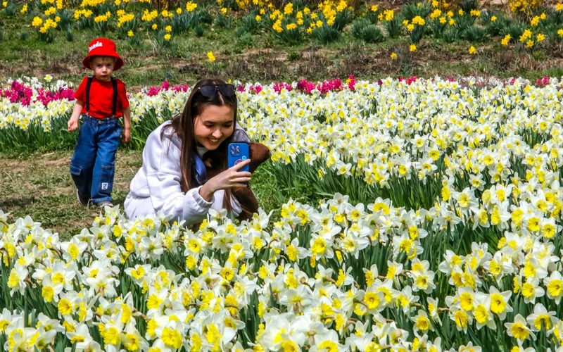 весна, цветы, погода, ауа райы, гүлдер, көктем, люди, адамдар
