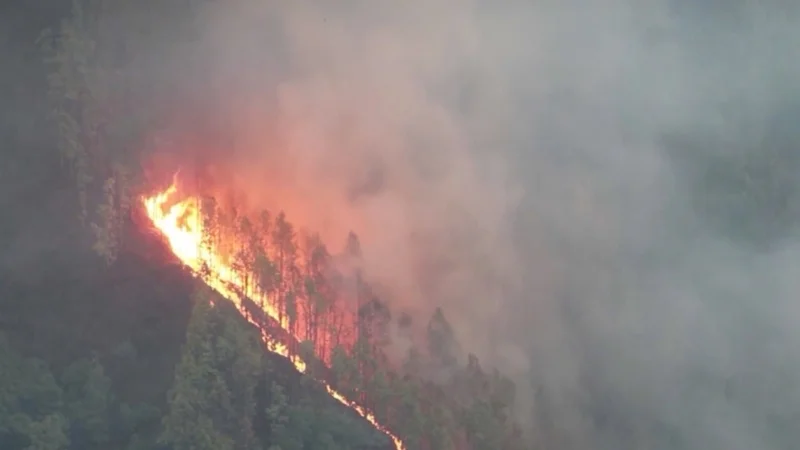 Лесные пожары охватили Непал