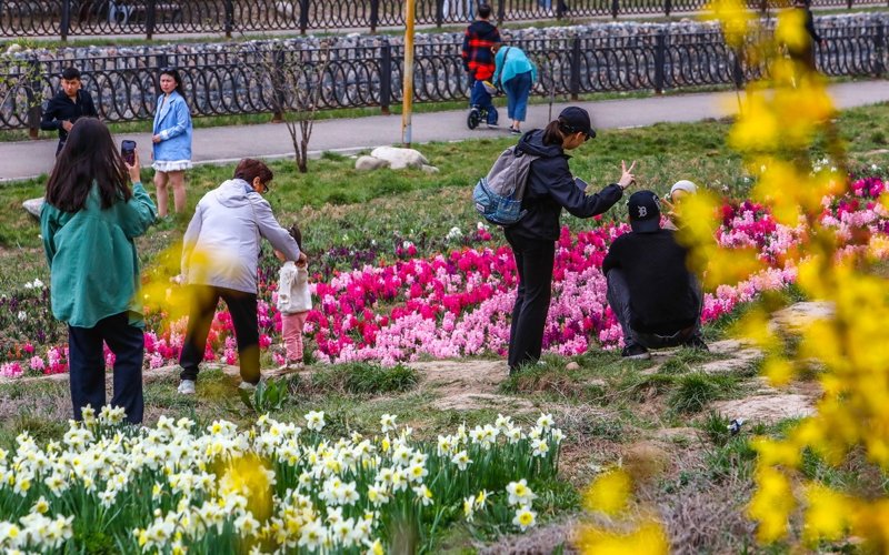 весна, цветы, погода, ауа райы, гүлдер, көктем, люди, адамдар