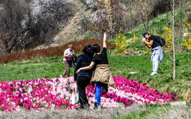 spring, flowers, weather