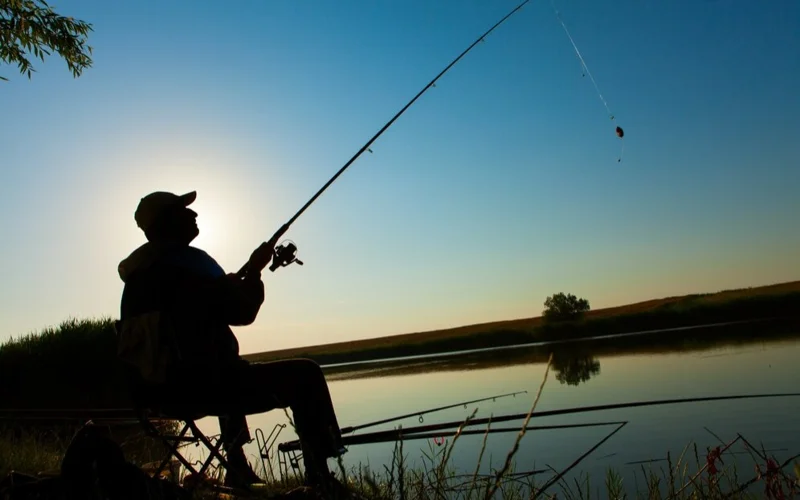 В СКО вводится временный запрет на ловлю некоторых видов рыб