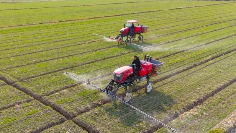 қишлоқ хўжалиги