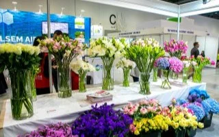 Астанада халықаралық гүлдер көрмесі өтіп жатыр