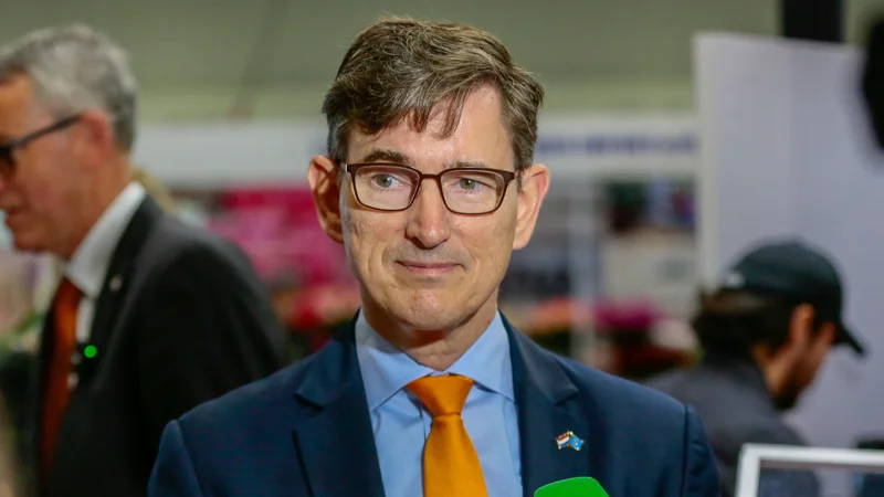 Нико Схермерс