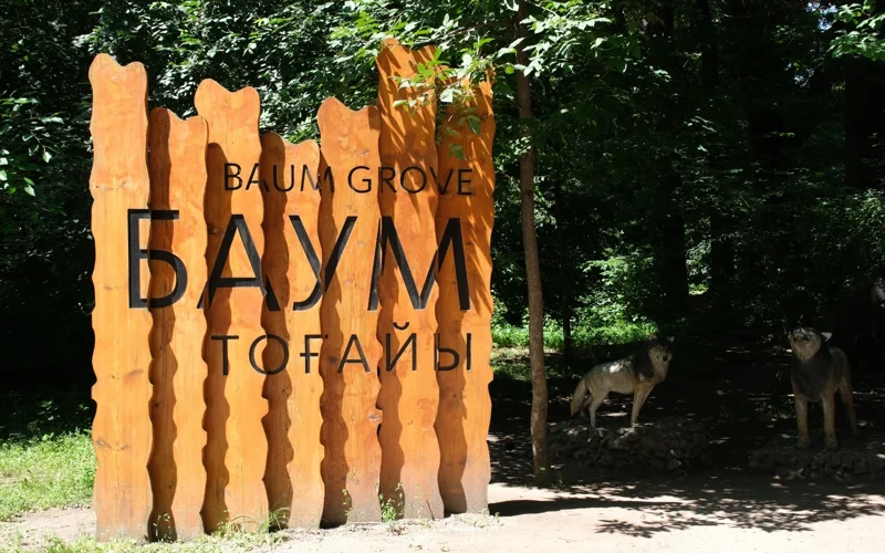 роща Баума