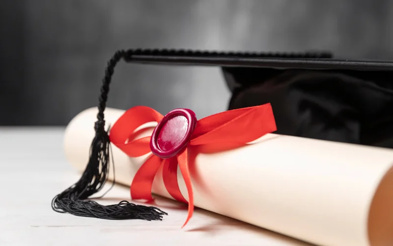 В eGov Mobilе теперь доступно признание зарубежных дипломов