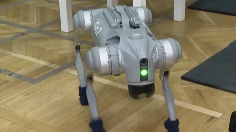 Инновациялық жобалар: жаттықтырушы робот, дрондар және нейродулыға туралы не білеміз