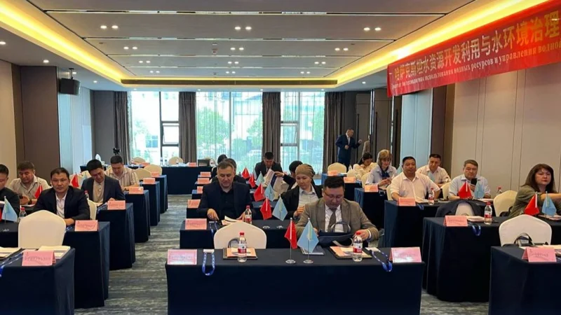 су мамандары