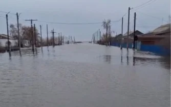 Вода добралась до еще одного села в Акмолинской области