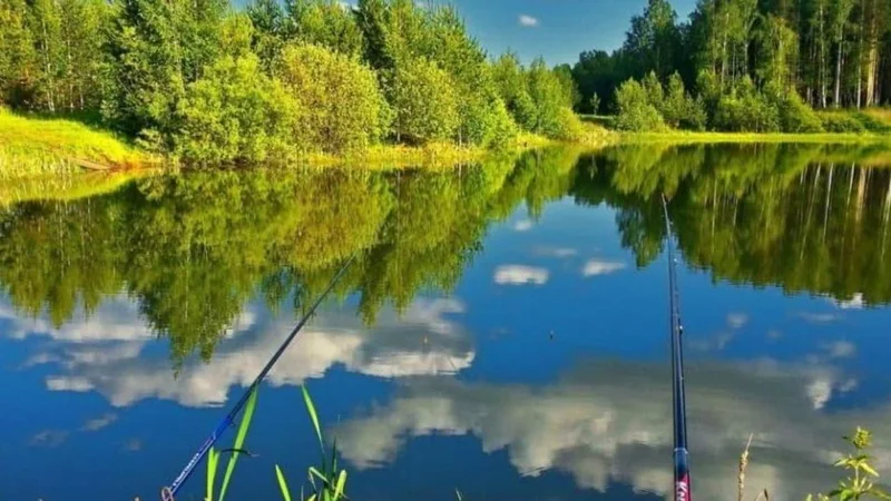 В Карагандинской области на время запретили ловить некоторые виды рыбы