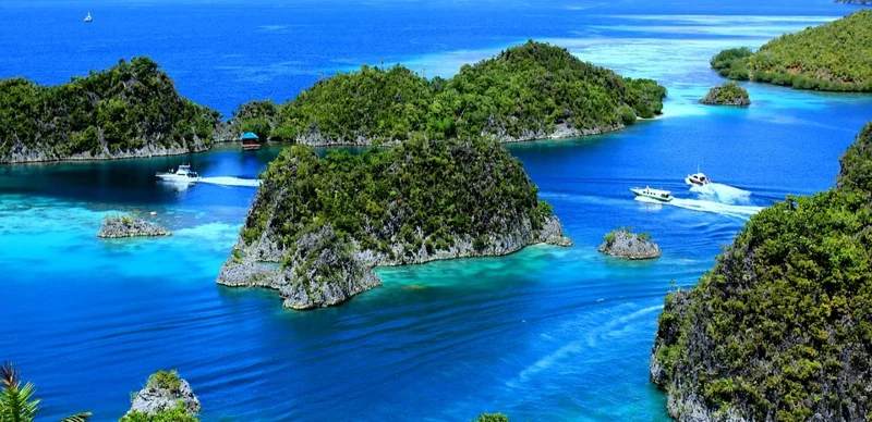 Папуа-Новая Гвинея