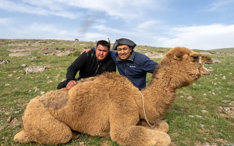 Есектің фотолары тарап кетті