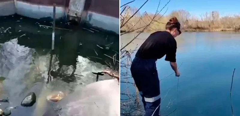 Óskemendegi sý qoımasynda balyqtyń neden qyrylǵany tekserilip jatyr