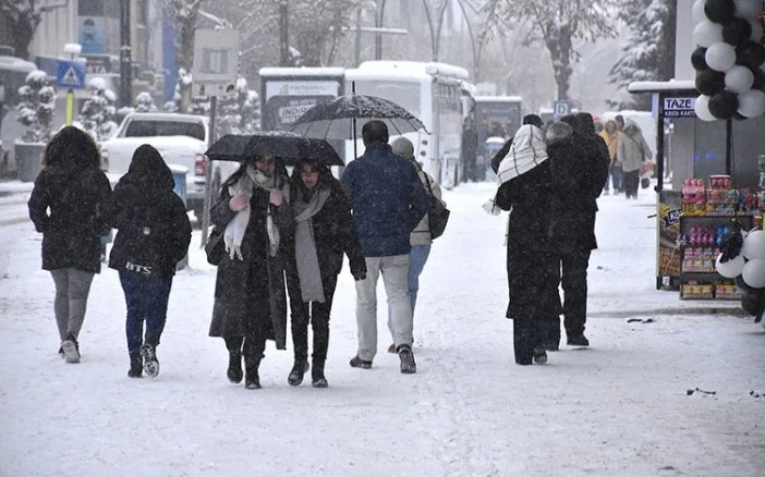 Рекордные заморозки в Турции влияют на сельское хозяйство