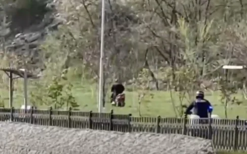 Погоня за мопедистом в Алматы попала на видео