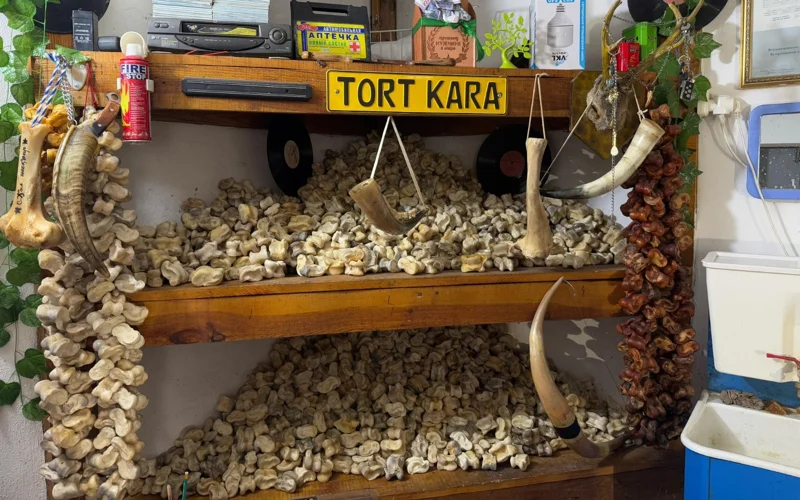 Актюбинский коллекционер асыков хочет попасть в Книгу рекордов Гиннесса