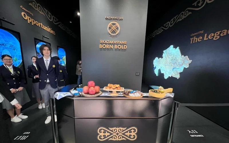 Dúnıejúzilik EXPO 2025 kórmesi 