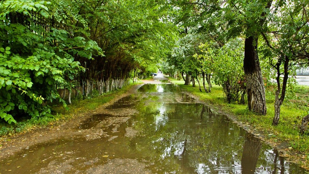 Қазақстанның басым бөлігінде күн күркіреп, жаңбыр жауады, үсік жүреді
